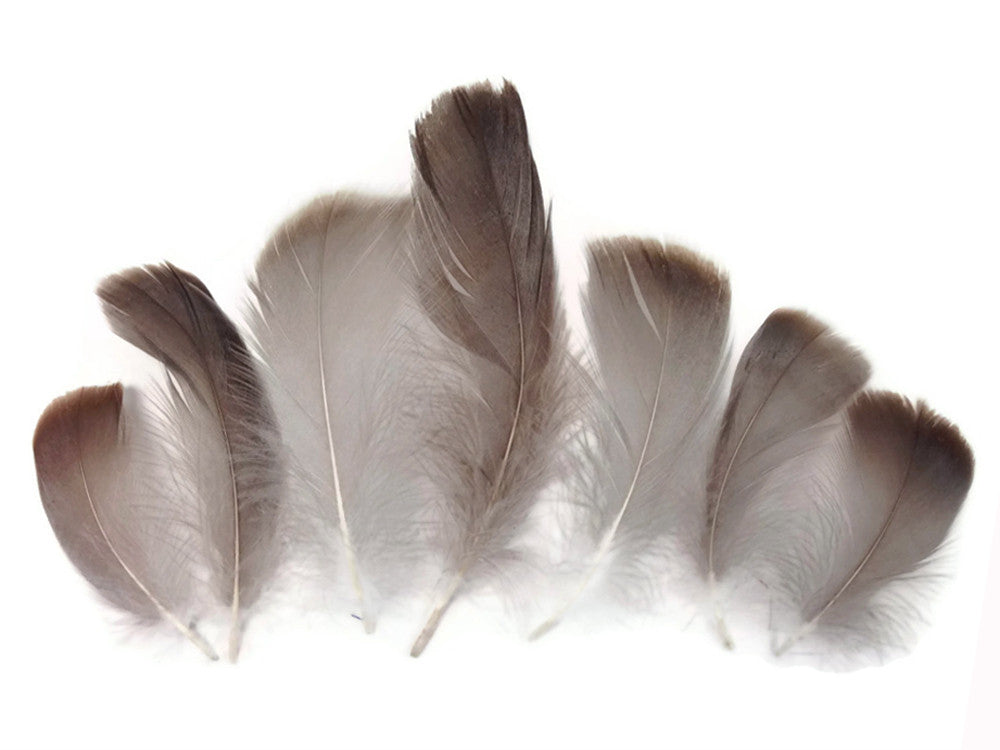 1 Pack - 2-3" Natural Brown Goose Coquille Loose Feathers - 0.35 Oz.