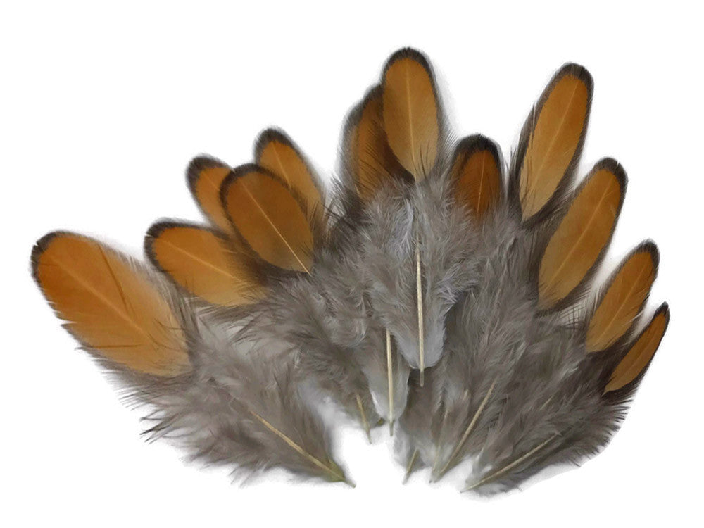 1 Dozen - Golden Brown Whiting Farms Laced Hen Saddle Feathers