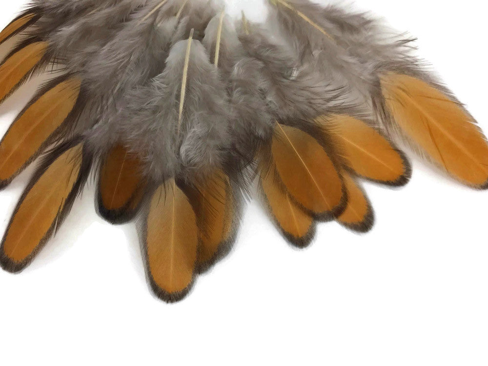 1 Dozen - Golden Brown Whiting Farms Laced Hen Saddle Feathers