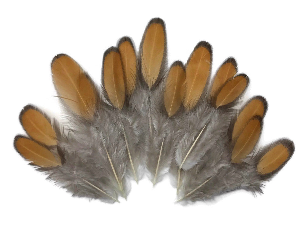 1 Dozen - Golden Brown Whiting Farms Laced Hen Saddle Feathers