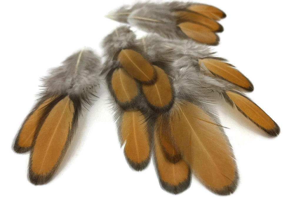 1 Dozen - Golden Brown Whiting Farms Laced Hen Saddle Feathers