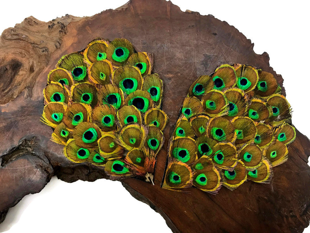 1 Piece - Natural Trimmed Small Eye Iridescent Green Peacock Feather Pad