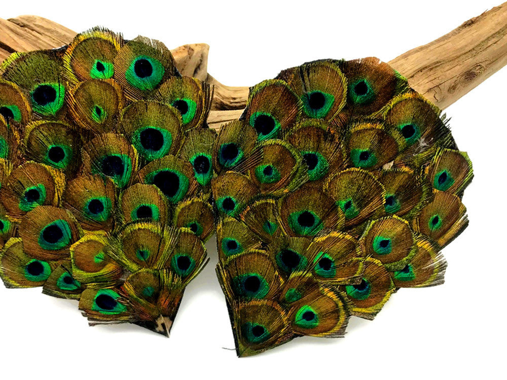 1 Piece - Natural Trimmed Small Eye Iridescent Green Peacock Feather Pad