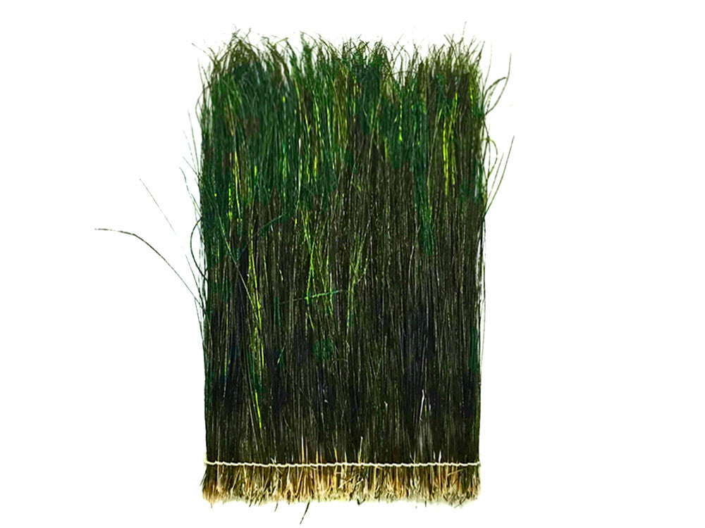 1/2 Yard - 12-14" Natural Iridescent Green Peacock Flue / Herl Strung Wholesale Feathers (Bulk)