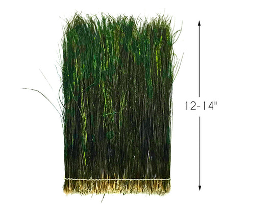 4 Inch Strip - 12-14" Natural Iridescent Green Peacock Flue / Herl Strung Feathers