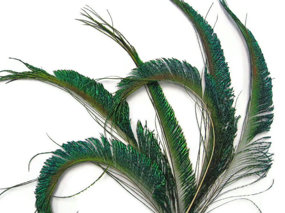 10 Pieces - 10-12" Natural Iridescent Green Peacock Swords Cut Feathers