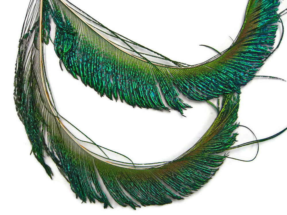 10 Pieces - 10-12" Natural Iridescent Green Peacock Swords Cut Feathers