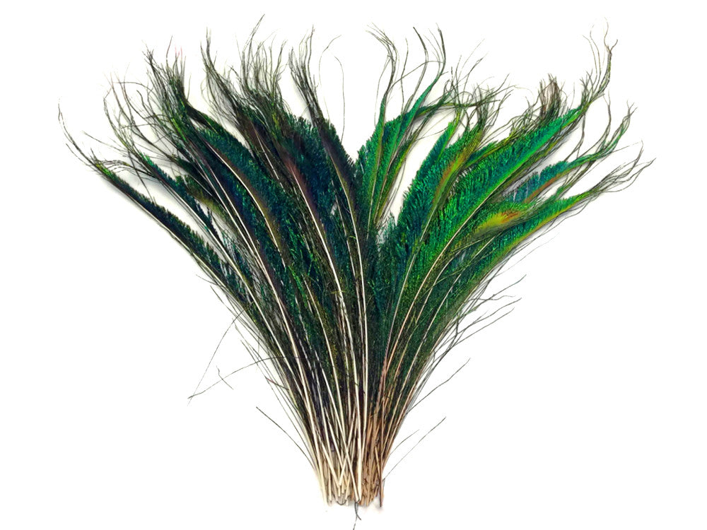 10 Pieces - 10-12" Natural Iridescent Green Peacock Swords Cut Feathers