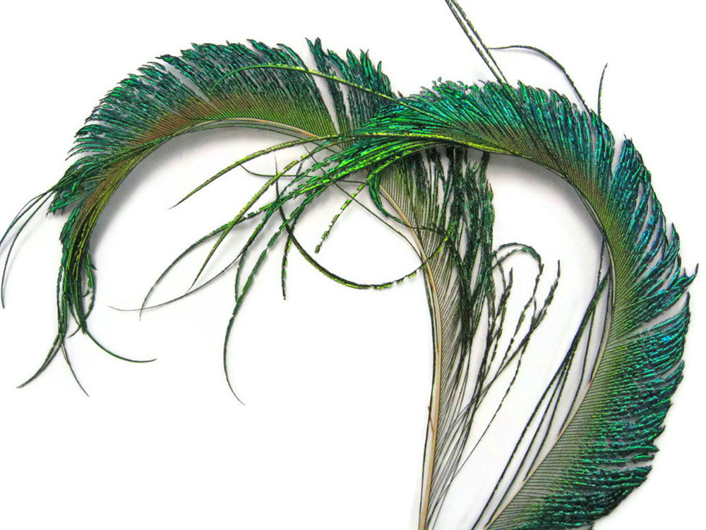 10 Pieces - 10-12" Natural Iridescent Green Peacock Swords Cut Feathers