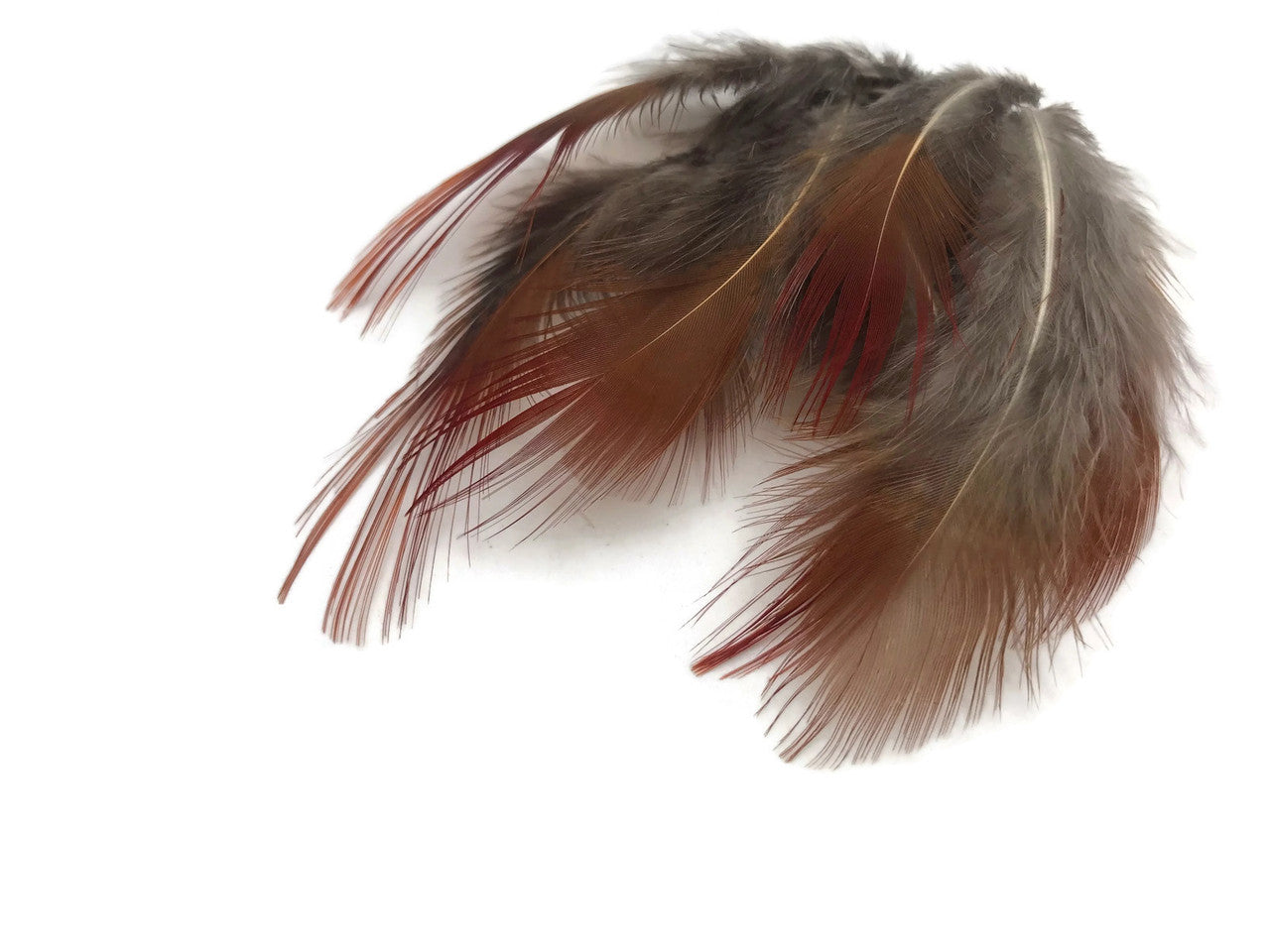 1/4 Lb. - Natural Red Golden Pheasant Plumage Wholesale Feather (Bulk)