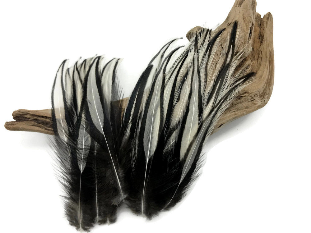 10 Pieces - Natural White Dyed BLW Laced Long Rooster Cape Whiting Farms Feathers