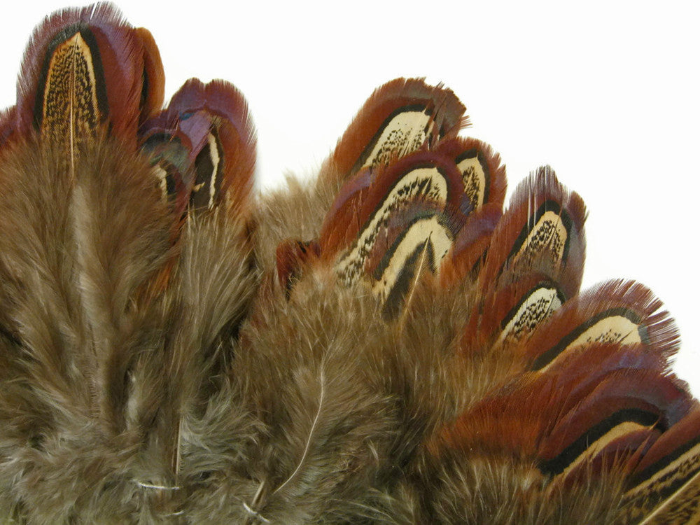 1 Pack - Natural Brown Almond Ringneck Pheasant Plumage Feathers 0.10 Oz.