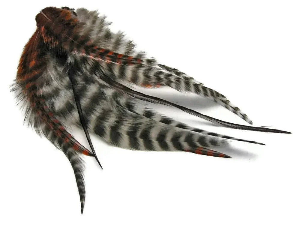 Striped brown and white natural feathers for craft and fashion DIY supplies.
