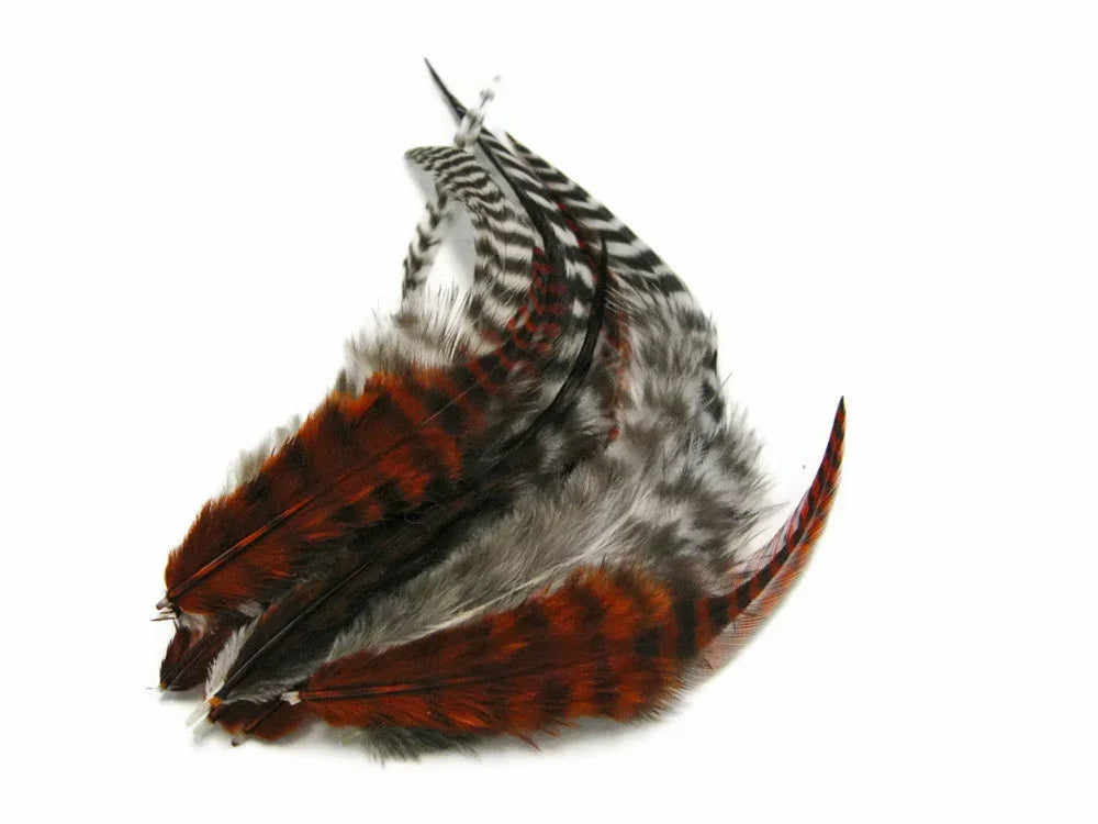 Natural patterned pheasant feathers in brown, black, and white for DIY crafts and decor.