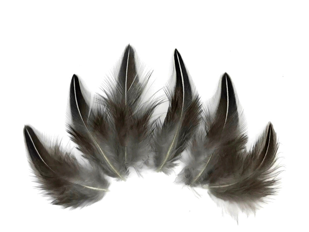 10 Pieces - Natural Black And White Jungle Cock Loose Feather