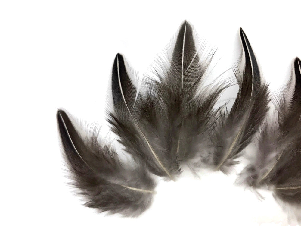 10 Pieces - Natural Black And White Jungle Cock Loose Feather