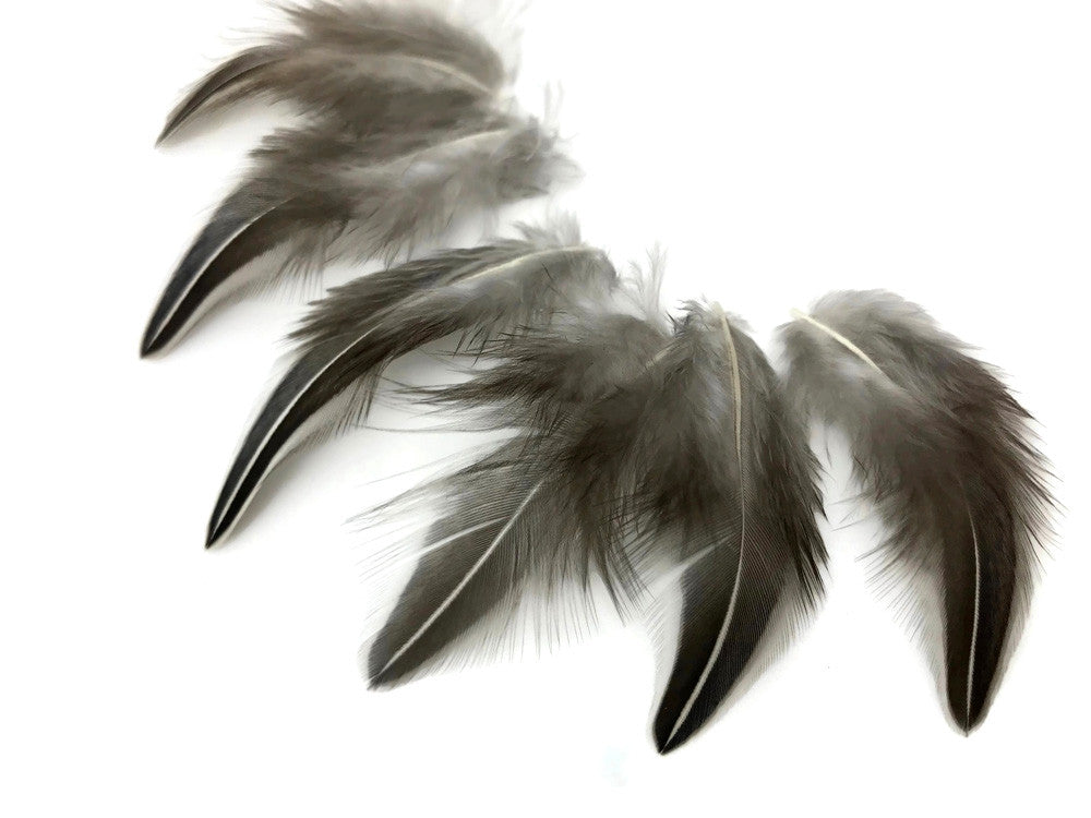 10 Pieces - Natural Black And White Jungle Cock Loose Feather