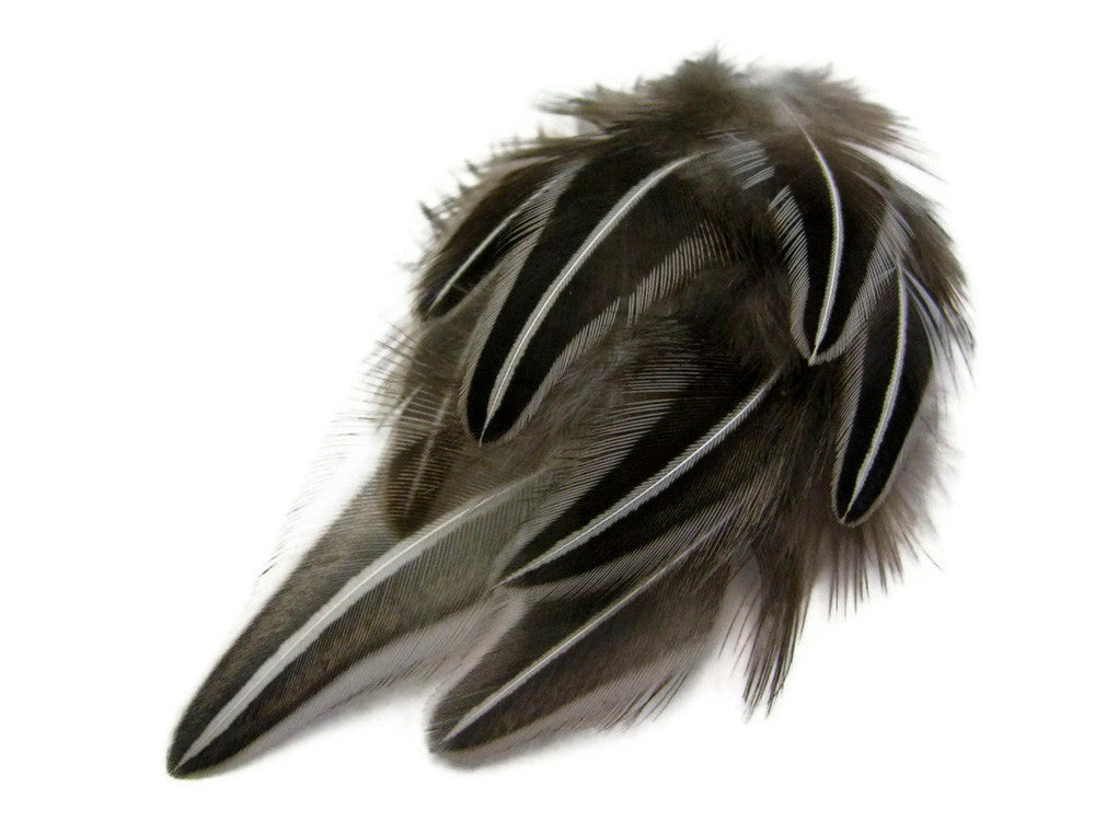 10 Pieces - Natural Black And White Jungle Cock Loose Feather