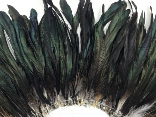 10 Pieces -  16-18" Natural Black Half Bronze Coque Tail Strung Feathers