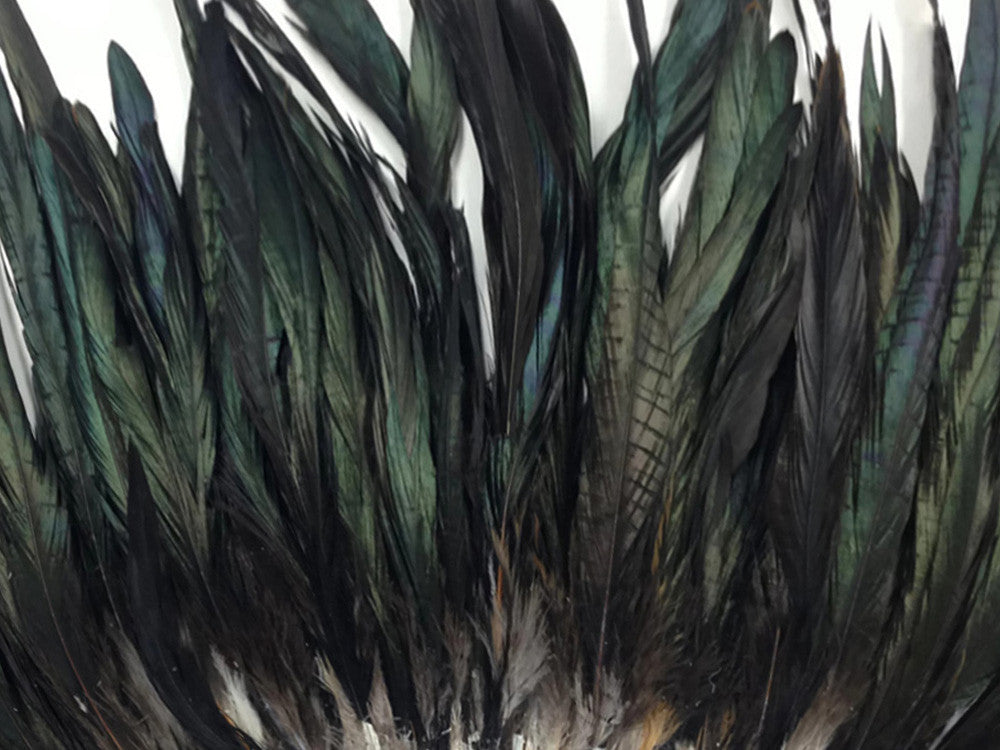 10 Pieces -  16-18" Natural Black Half Bronze Coque Tail Strung Feathers