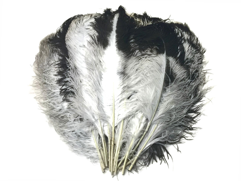 10 Pieces - 18-24" Natural Chinchilla Large Prime Grade Ostrich Wing Plume Centerpiece Feathers