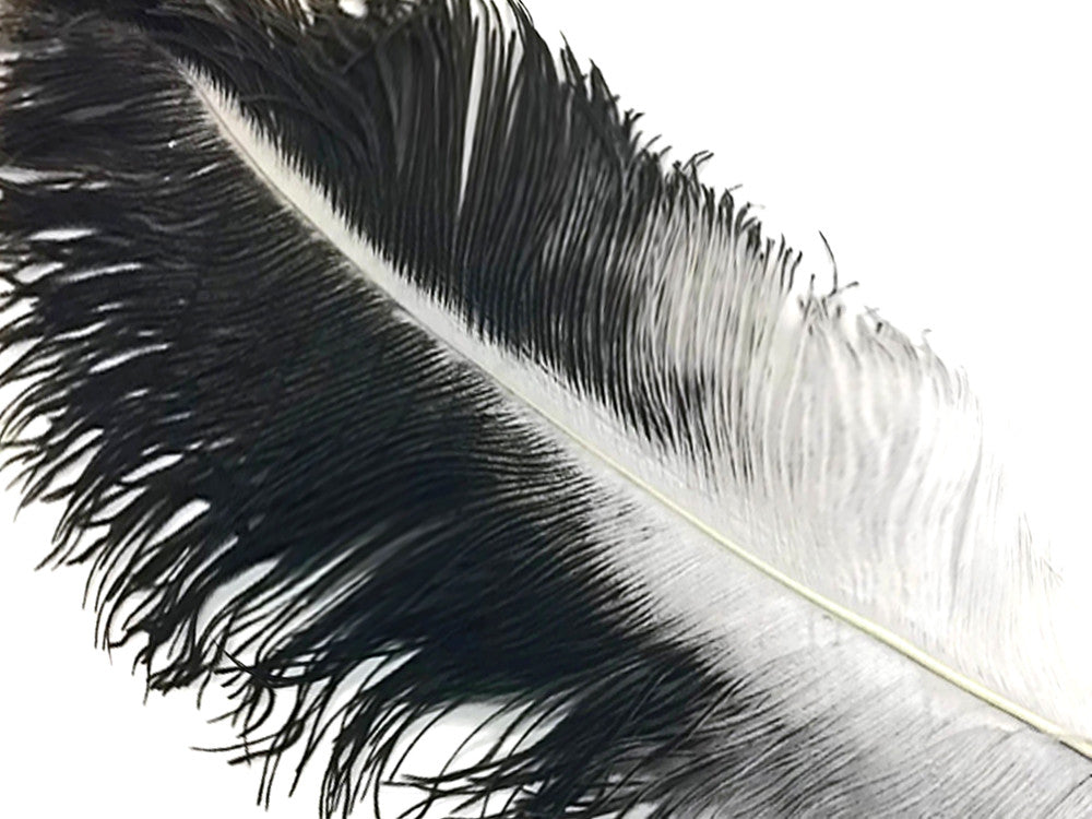 10 Pieces - 18-24" Natural Chinchilla Large Prime Grade Ostrich Wing Plume Centerpiece Feathers