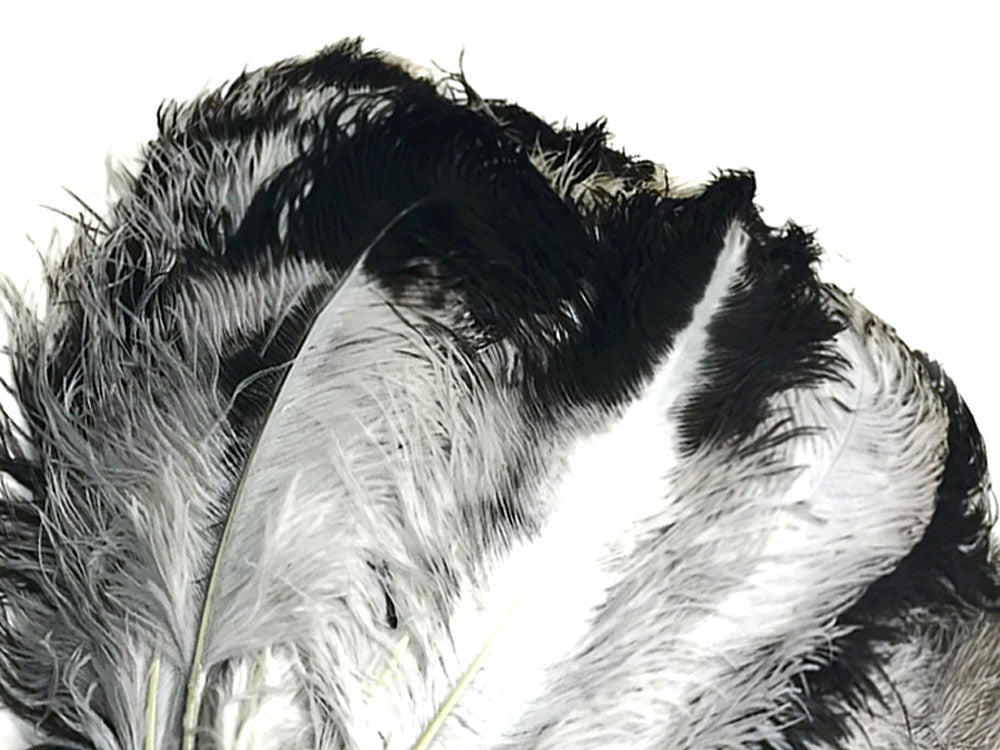 10 Pieces - 18-24" Natural Chinchilla Large Prime Grade Ostrich Wing Plume Centerpiece Feathers