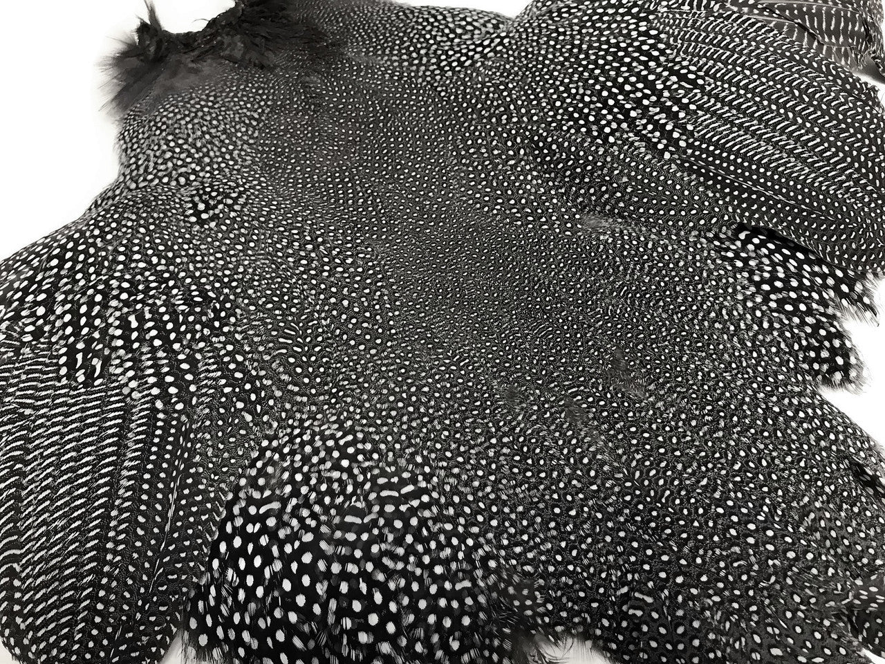 1 Piece  - High Quality Guinea Fowl Natural Polka Dot with Wing Complete Pelt Feathers (Bulk)