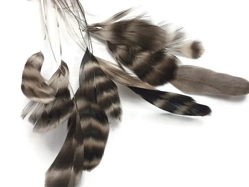 1 Yard - Natural Chinchilla Stripped Coque Tail Wholesale Feathers Trim (Bulk)