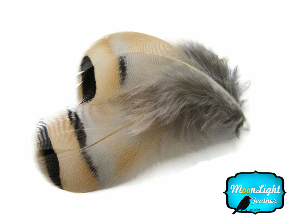 1 Pack - Natural Chukar Partridge Hen Feather 0.10 Oz.