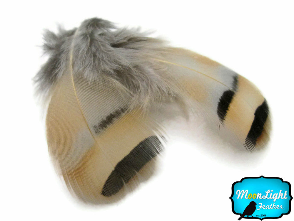 1/4 Lb - Natural Chukar Partridge Hen Plumage Wholesale Feather (Bulk)