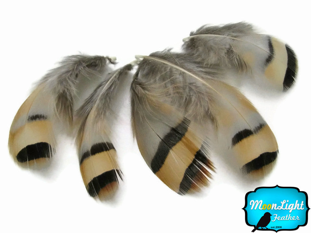 1 Pack - Natural Chukar Partridge Hen Feather 0.10 Oz.