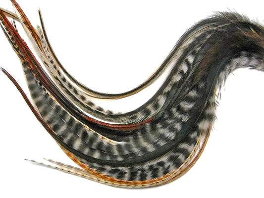 10 Pieces - Natural Combo Mix Long Whiting Farms Grizzly Rooster Saddle Hair Extension Feathers