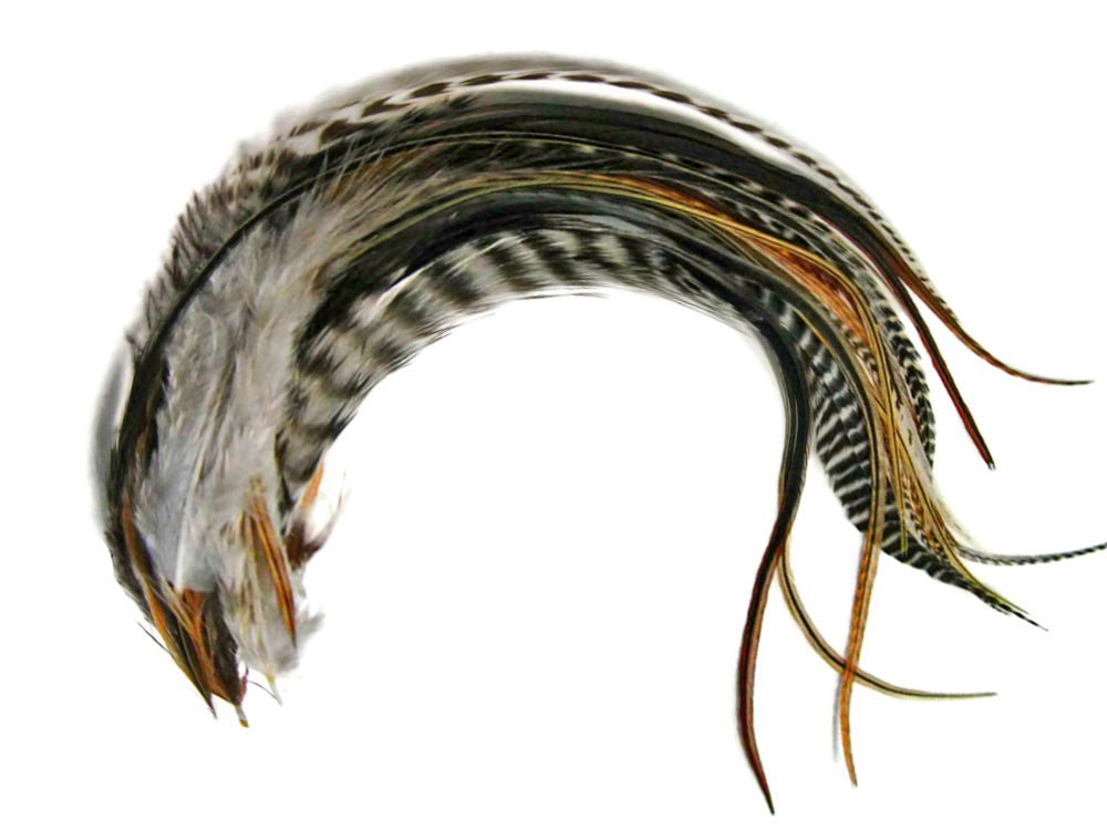 10 Pieces - Natural Combo Mix Long Whiting Farms Grizzly Rooster Saddle Hair Extension Feathers