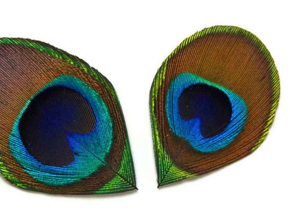 10 Pieces - Hand Trimmed Natural Iridescent Green Peacock Tail Eye Feathers