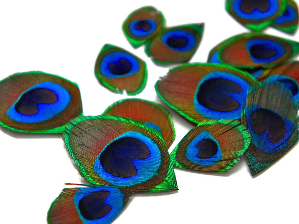 10 Pieces - Hand Trimmed Natural Iridescent Green Peacock Tail Eye Feathers