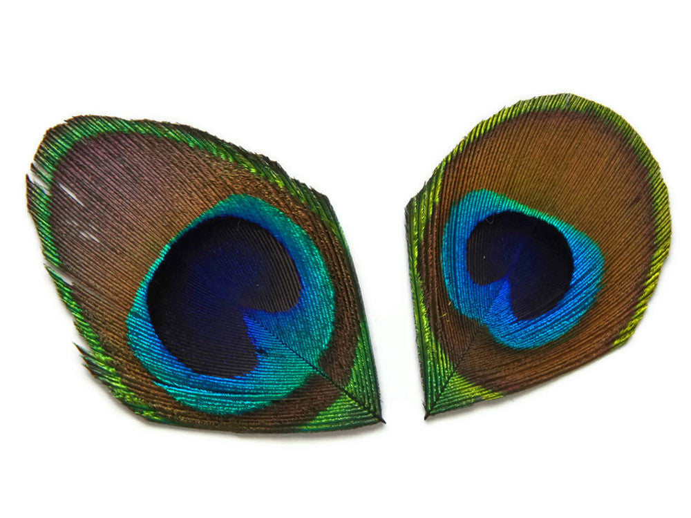 10 Pieces - Trimmed Natural Peacock Tail Eye Feathers