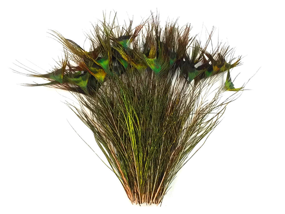 50 Pieces - 10-12" Natural Green Peacock 'T' Curved Tail Wholesale Feathers (Bulk)