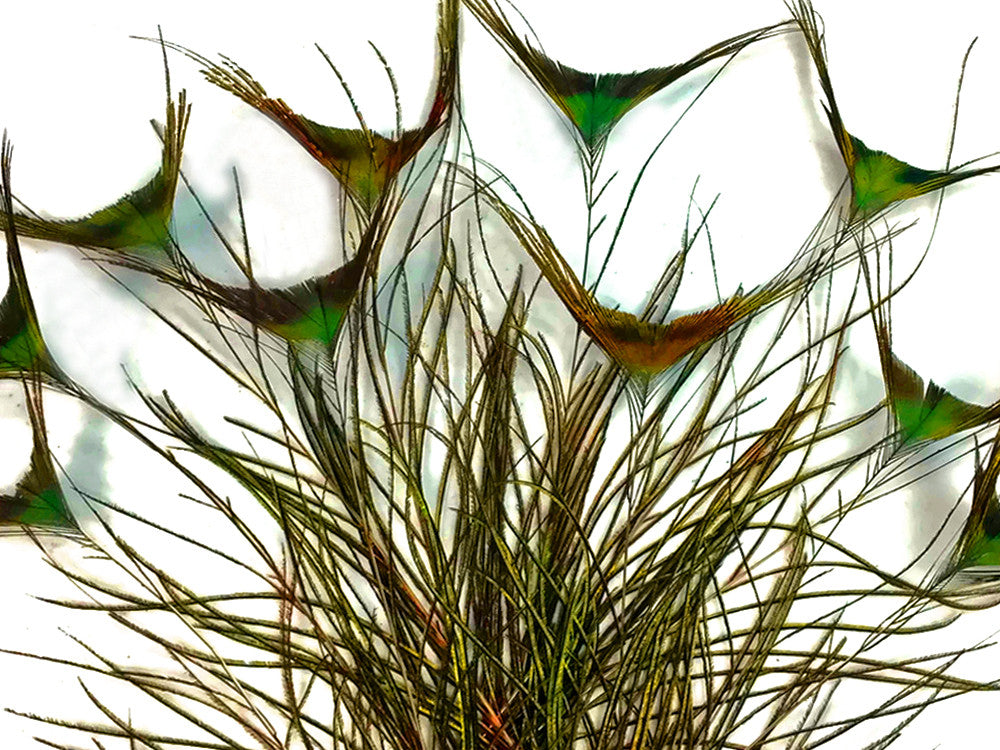 10 Pieces - 10-12" Natural Green Peacock 'T' Curved Tail Feathers