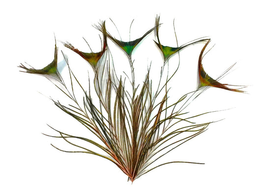 10 Pieces - 10-12" Natural Green Peacock 'T' Curved Tail Feathers