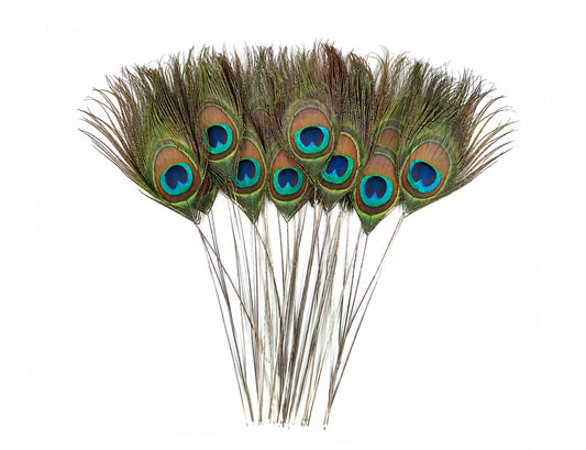 10 Pieces - 10-12" Stripped Natural Green Iridescent Peacock Tail Eye Feathers