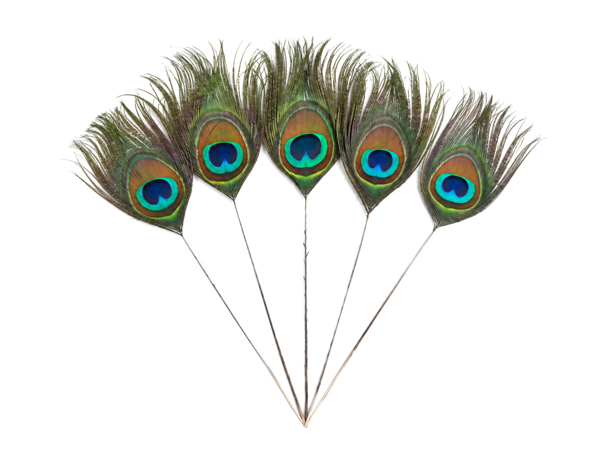 10 Pieces - 10-12" Stripped Natural Green Iridescent Peacock Tail Eye Feathers