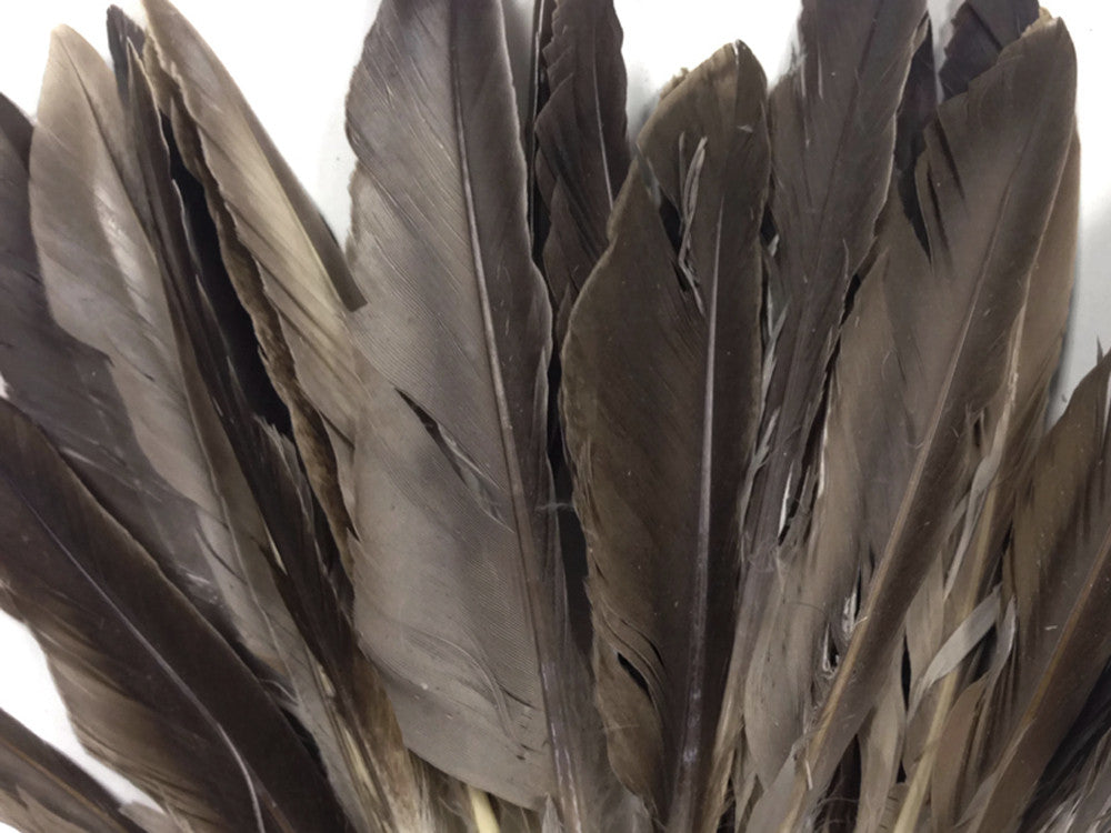 1/4 Lbs - Natural Brown Duck Pointer Primary Wing Wholesale Feathers (Bulk)