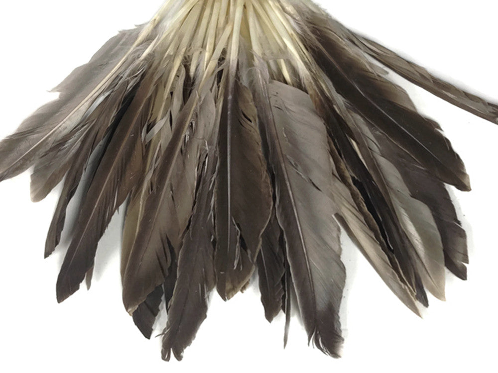 1/4 Lbs - Natural Brown Duck Pointer Primary Wing Wholesale Feathers (Bulk)