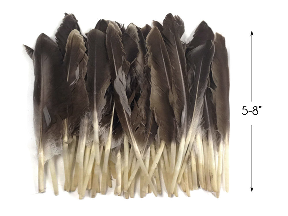 1/4 Lbs - Natural Brown Duck Pointer Primary Wing Wholesale Feathers (Bulk)