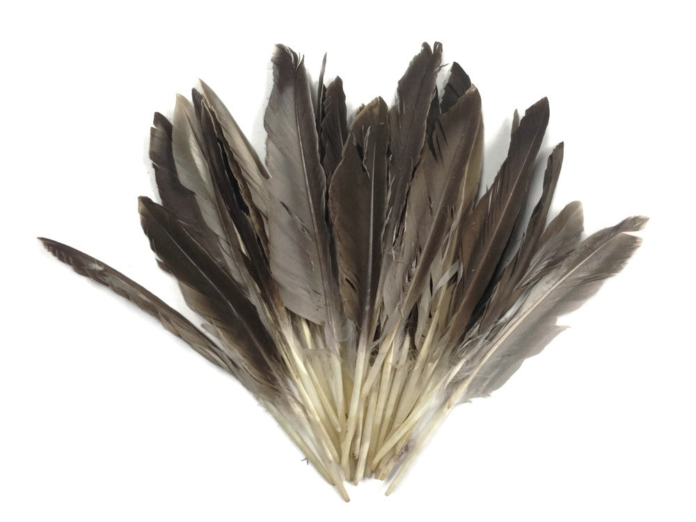 1/4 Lbs - Natural Brown Duck Pointer Primary Wing Wholesale Feathers (Bulk)