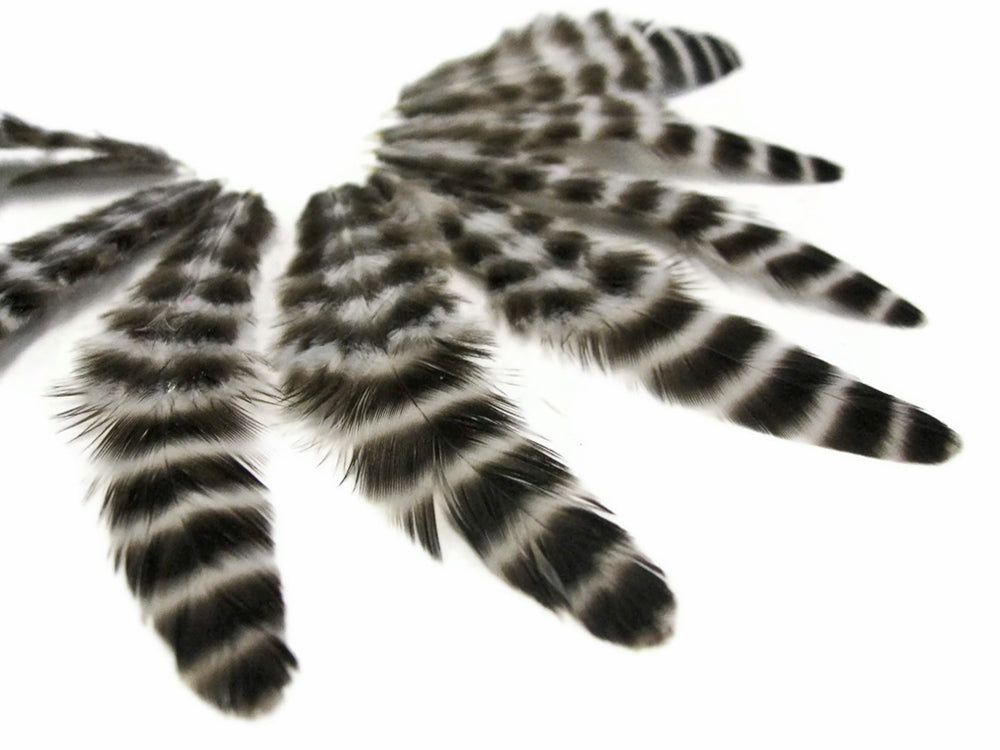 1 Dozen - Natural Grizzly Whiting Farm Hen Saddle Feather