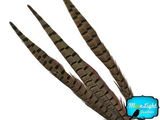 Natural brown striped pheasant feathers for DIY crafts and fashion decor.