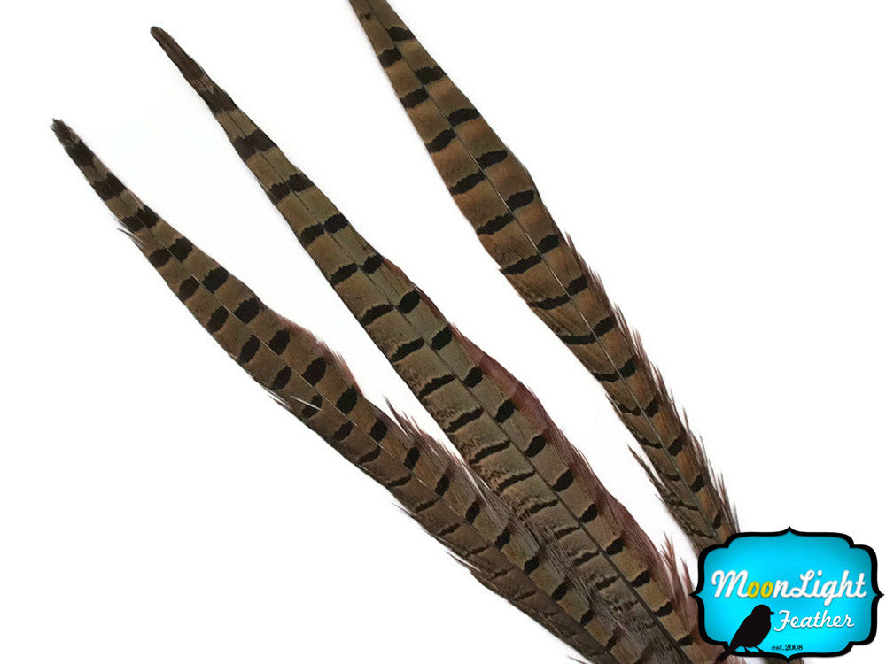 10 Pieces - 16-18" Natural Long Ringneck Pheasant Tail Feathers