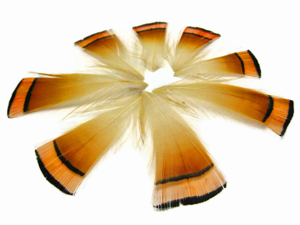 1 Dozen - Natural Orange Golden Pheasant Tippet Neck Plumage Feather
